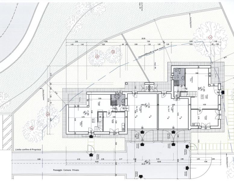 immagine annuncio 11 di 12