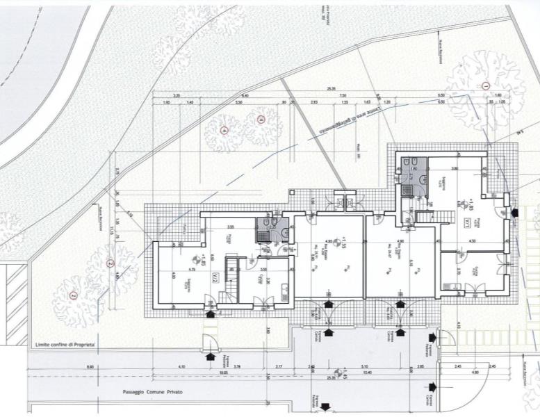 immagine annuncio 2 di 12