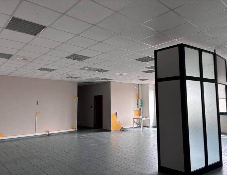 immagine annuncio 9 di 14