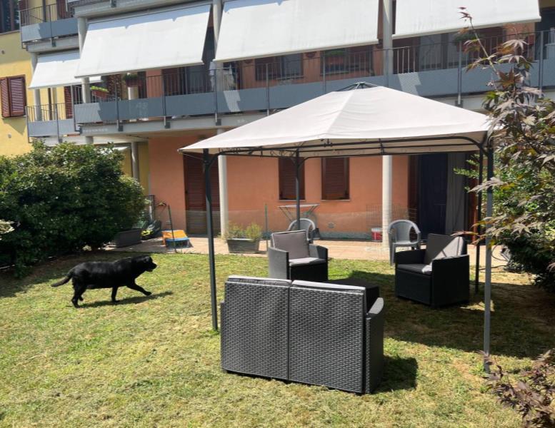 immagine annuncio 10 di 15