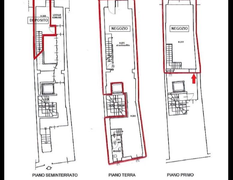 immagine annuncio 2 di 4