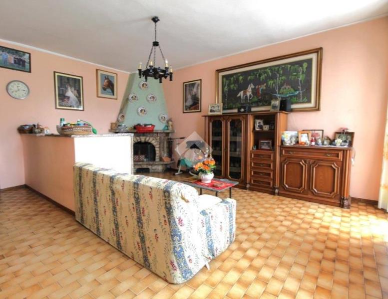 immagine annuncio 6 di 14
