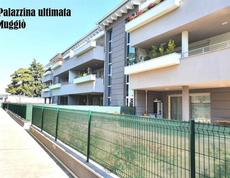 immagine annuncio 6 di 15