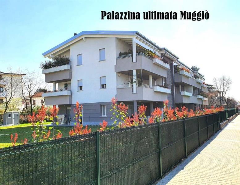 immagine annuncio 7 di 15