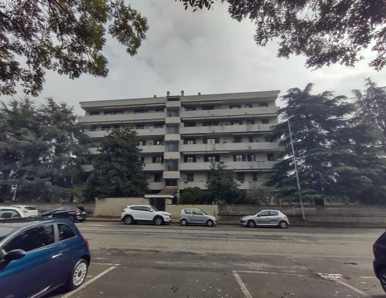 immagine annuncio 5 di 6