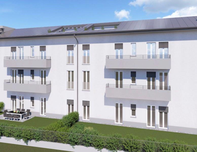 immagine annuncio 10 di 14