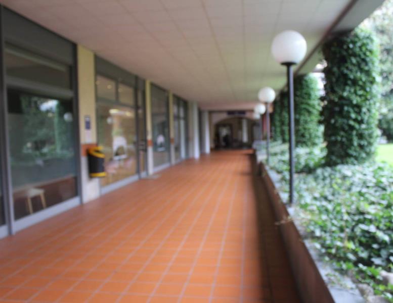 immagine annuncio 1 di 14