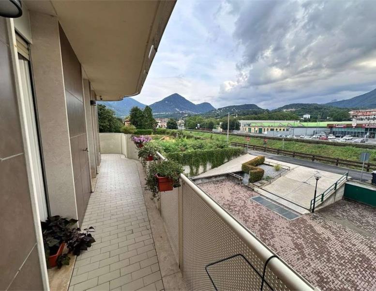 immagine annuncio 5 di 14