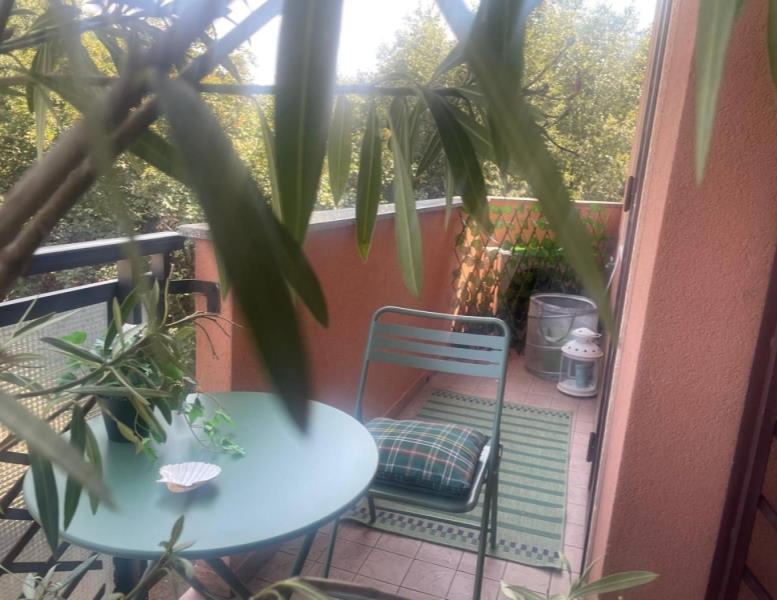 immagine annuncio 3 di 11