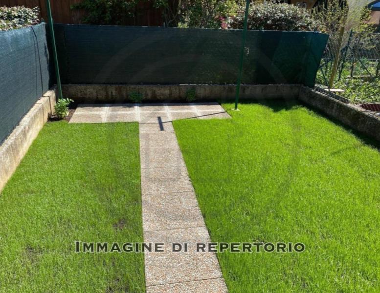 immagine annuncio 9 di 14