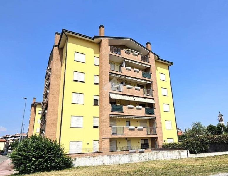 immagine annuncio 11 di 14