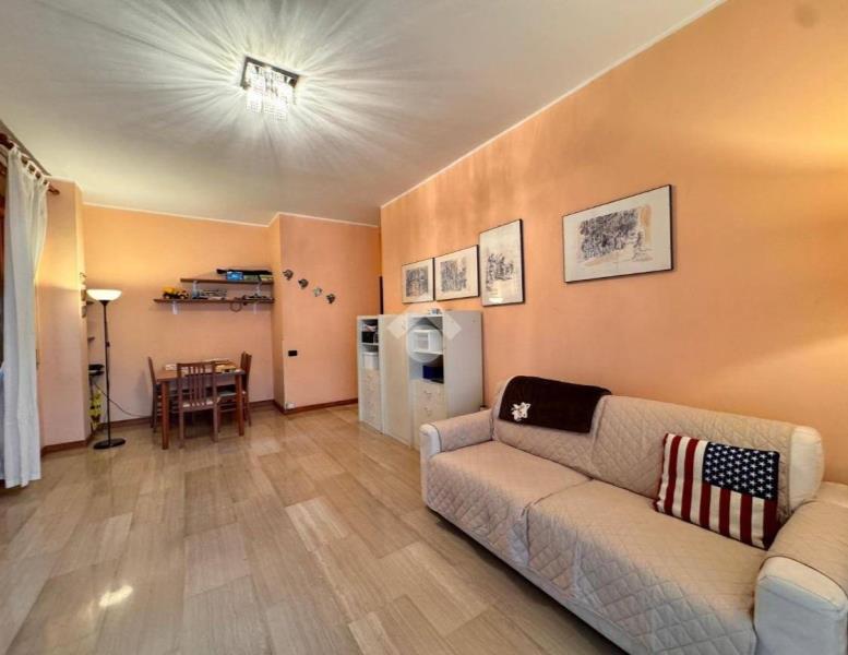 immagine annuncio 5 di 11