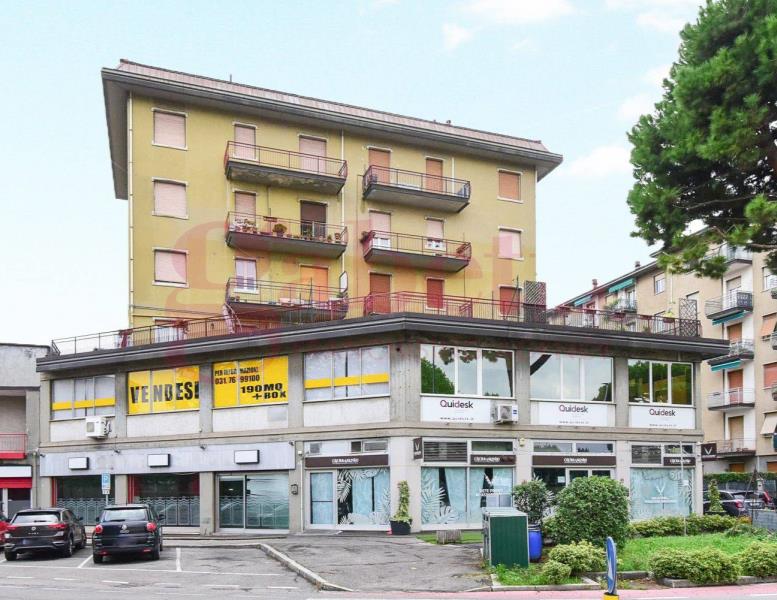 immagine annuncio 14 di 15