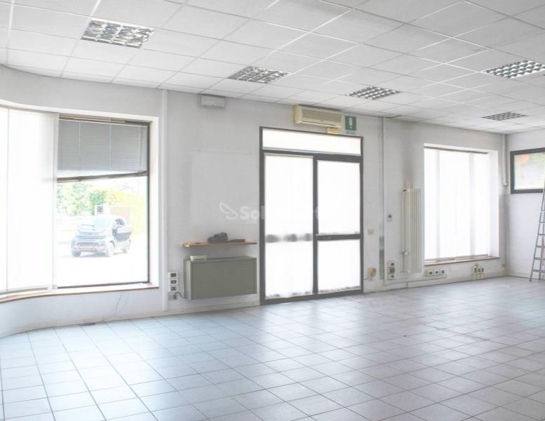 immagine annuncio 5 di 11
