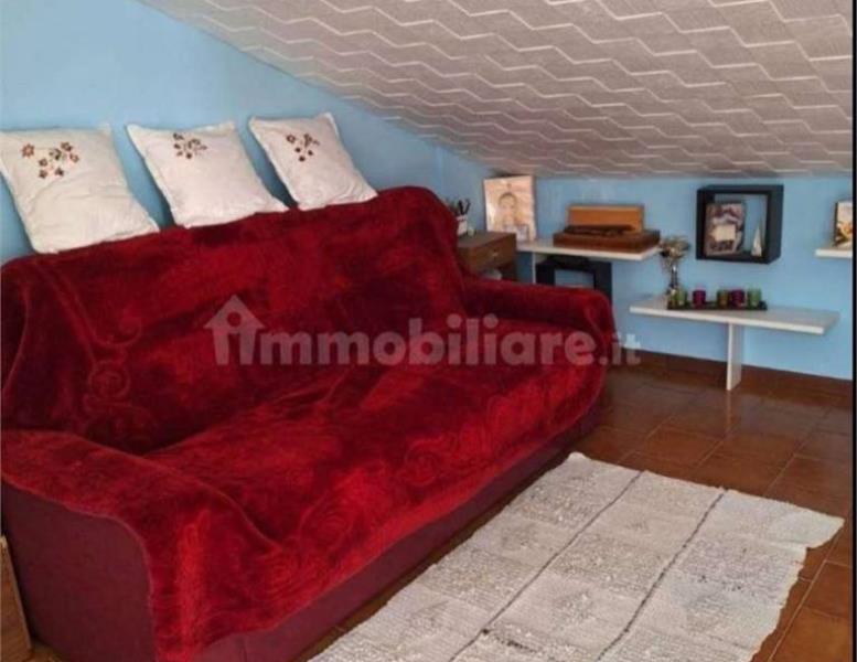 immagine annuncio 5 di 7