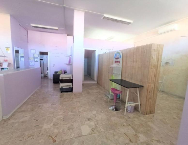 immagine annuncio 7 di 13