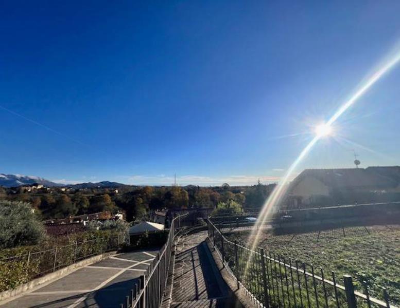 immagine annuncio 12 di 14