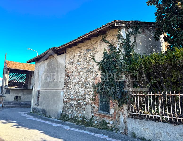immagine annuncio 2 di 12