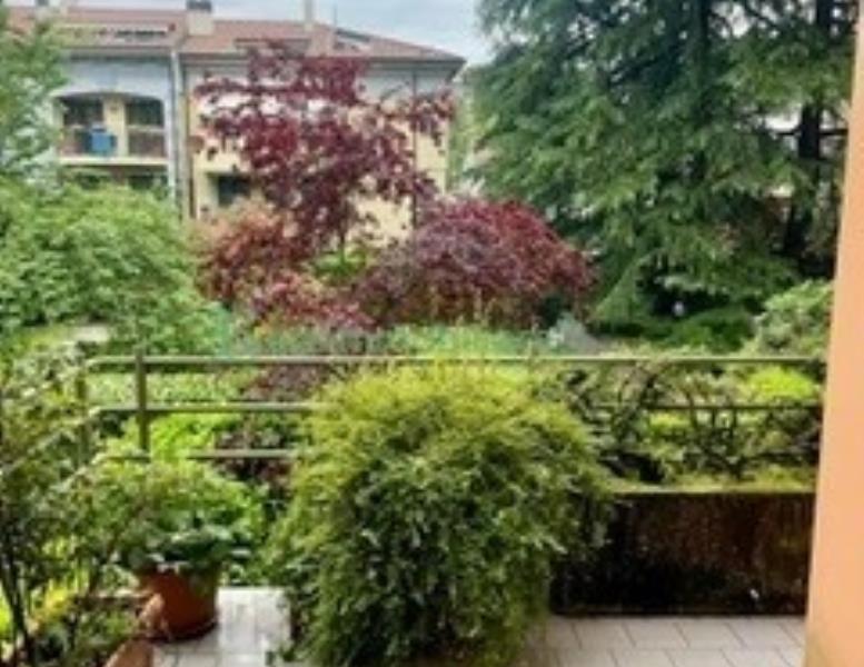 immagine annuncio 5 di 12