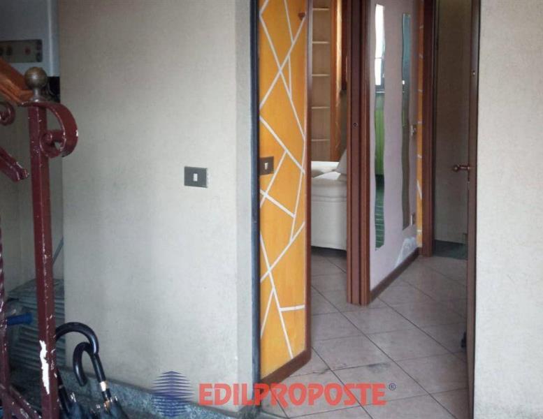 immagine annuncio 9 di 13