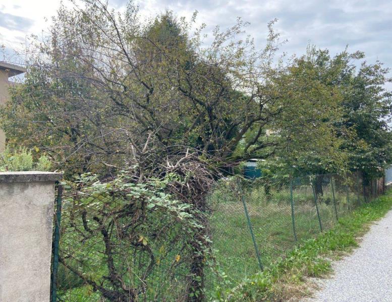 immagine annuncio 6 di 9