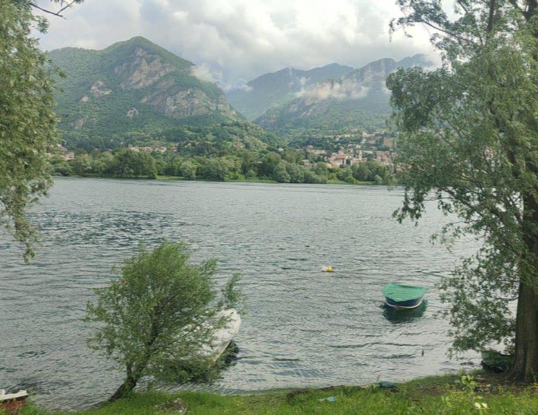 immagine annuncio 4 di 8