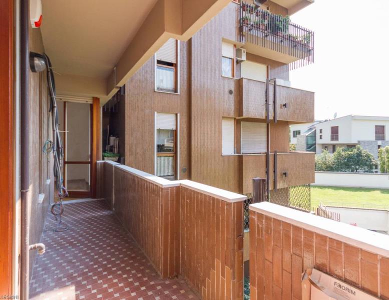 immagine annuncio 6 di 14