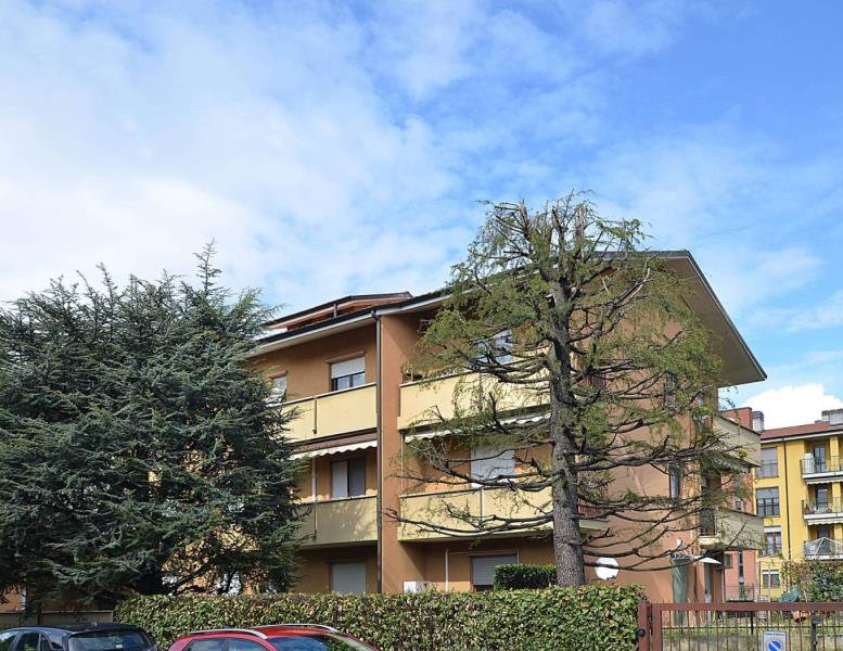 immagine annuncio 8 di 12