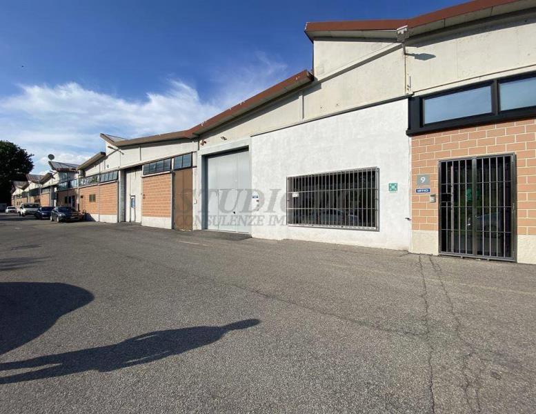 immagine annuncio 8 di 15