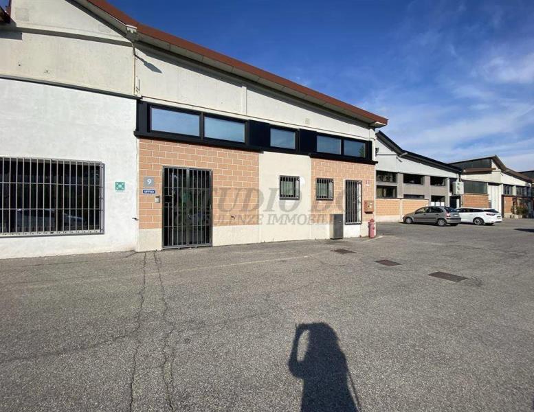 immagine annuncio 9 di 15