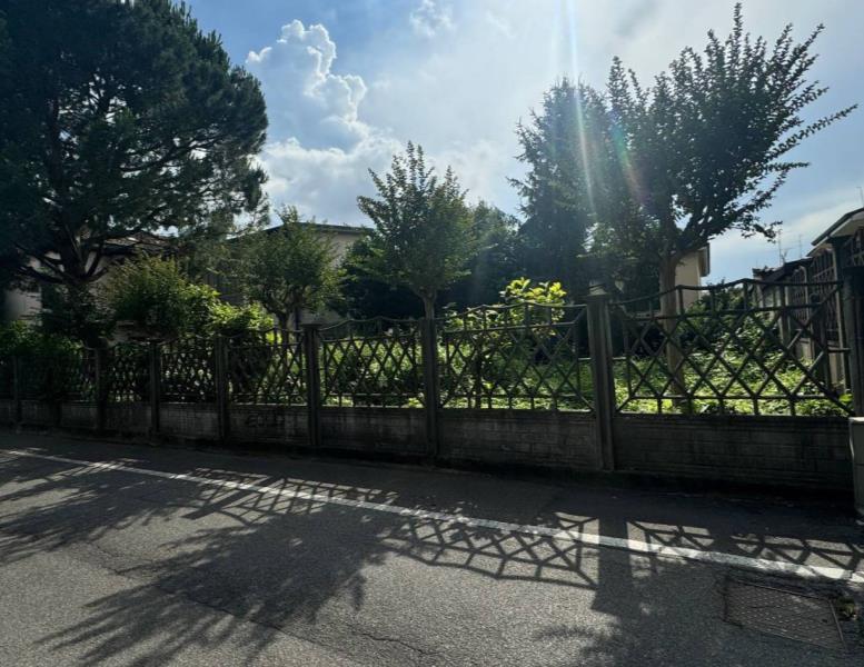 immagine annuncio 7 di 13