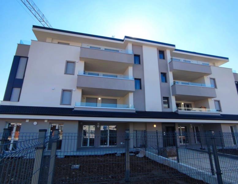 immagine annuncio 11 di 15