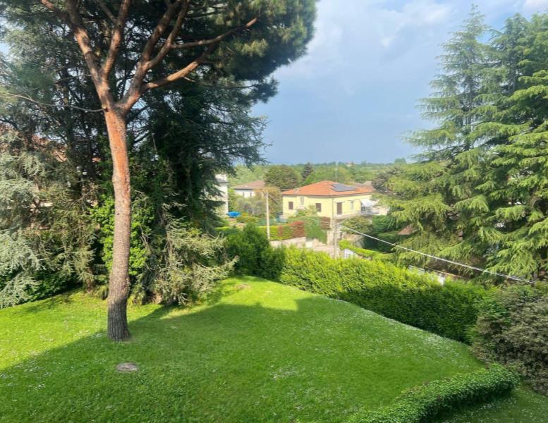 immagine annuncio 12 di 14