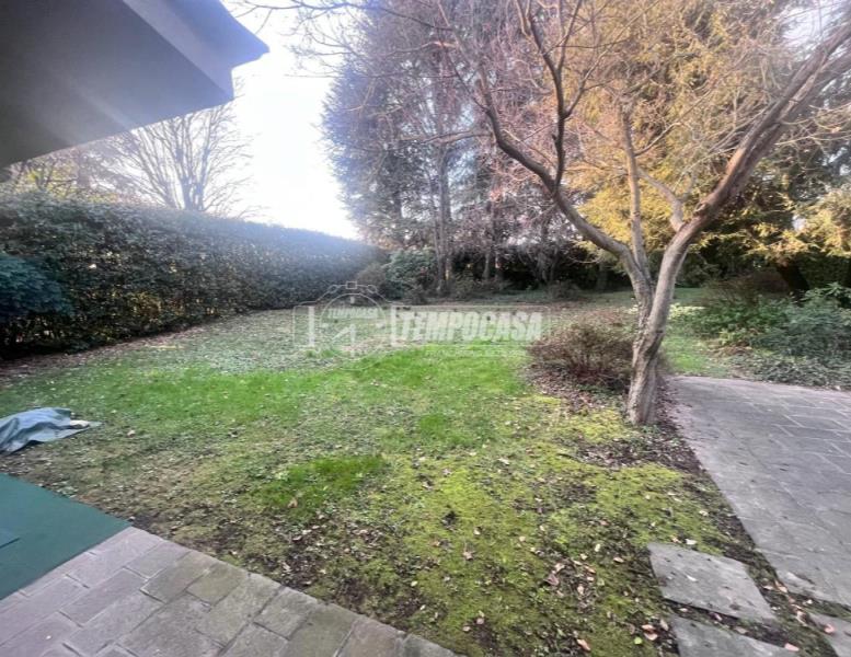 immagine annuncio 9 di 14