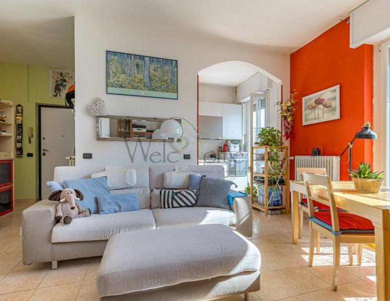 immagine annuncio 3 di 15