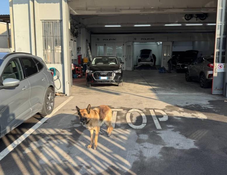 immagine annuncio 7 di 15