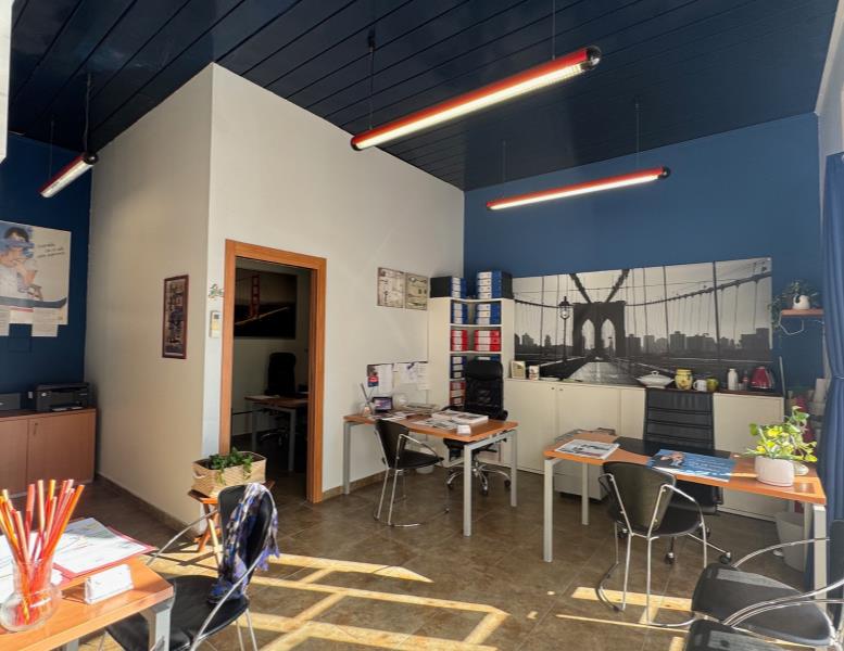 immagine annuncio 4 di 7