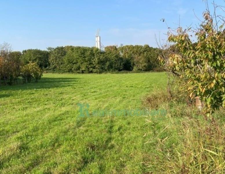 immagine annuncio 2 di 12