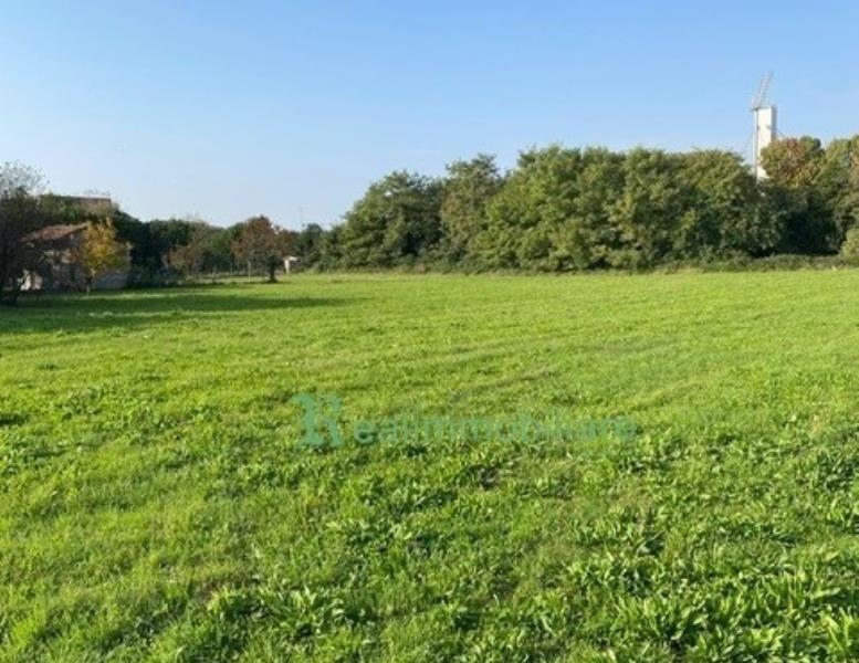 immagine annuncio 6 di 12