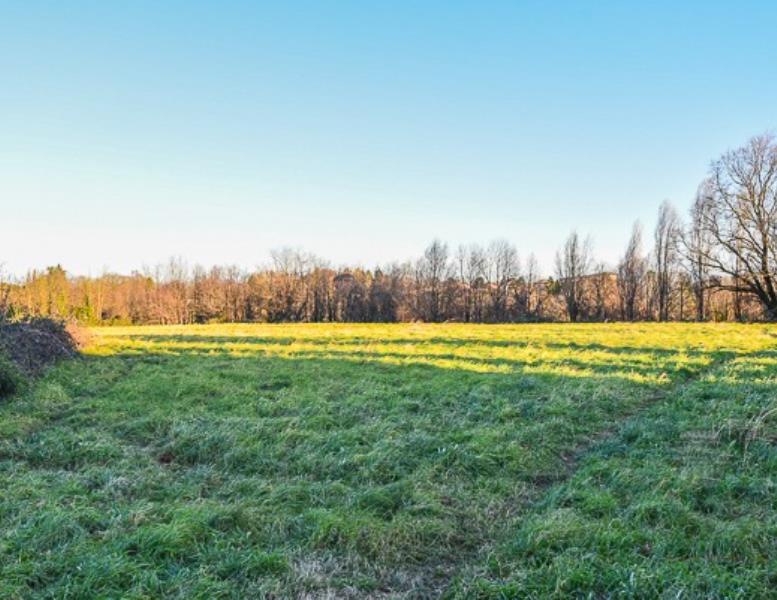 immagine annuncio 4 di 7