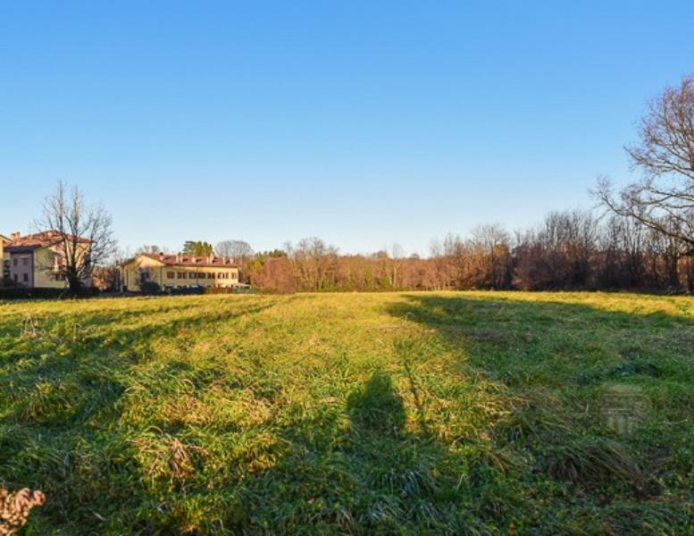 immagine annuncio 3 di 7