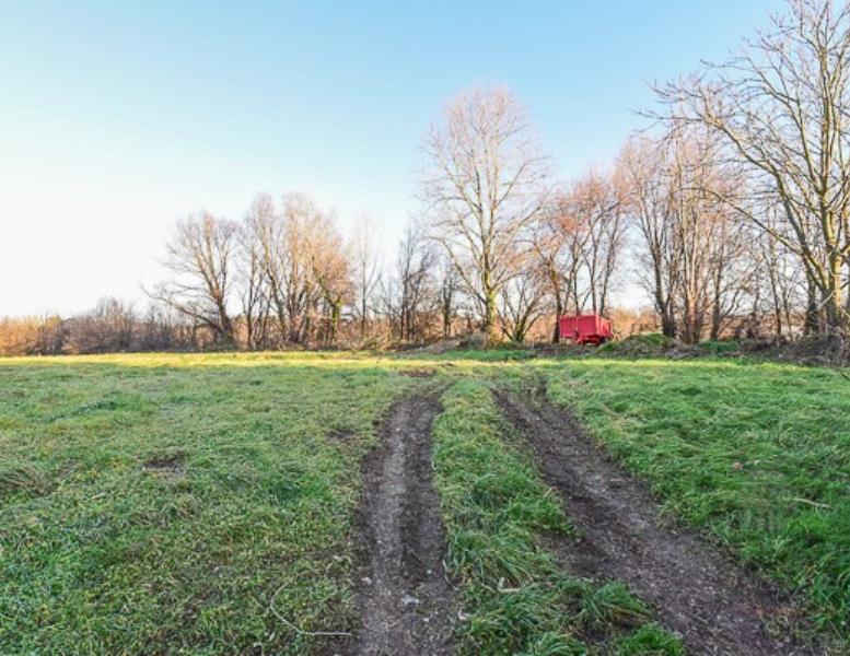 immagine annuncio 2 di 7