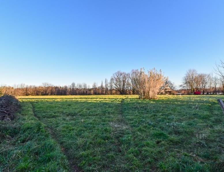 immagine annuncio 5 di 7