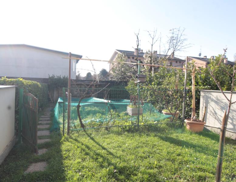 immagine annuncio 8 di 12