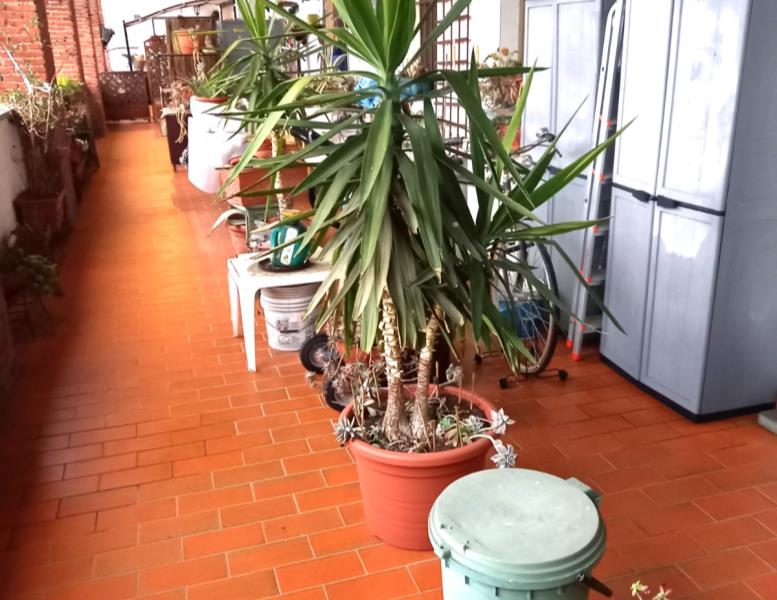 immagine annuncio 8 di 11