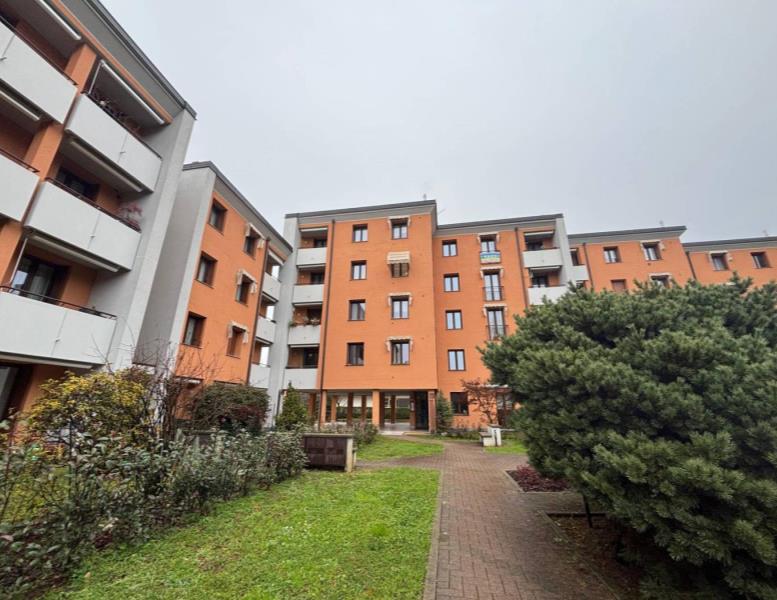 immagine annuncio 3 di 15