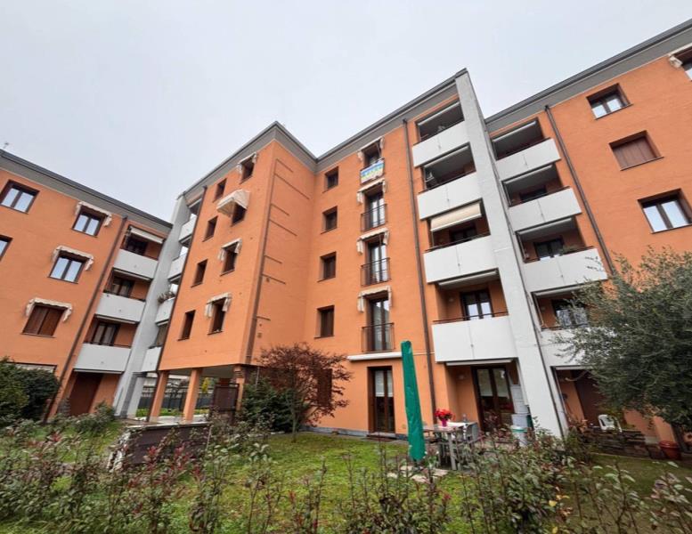 immagine annuncio 2 di 15