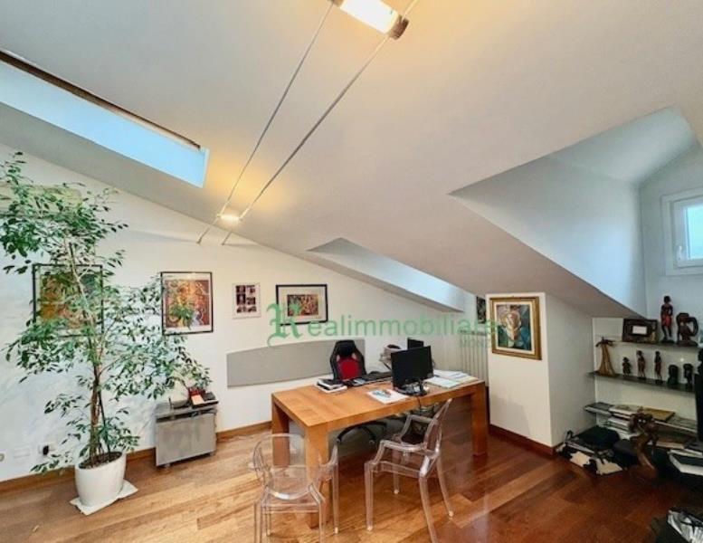 immagine annuncio 3 di 14