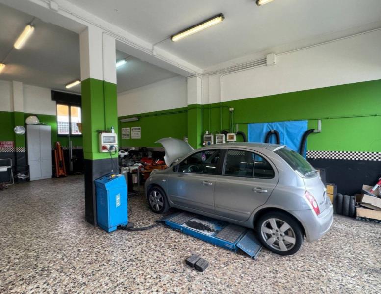 immagine annuncio 3 di 13