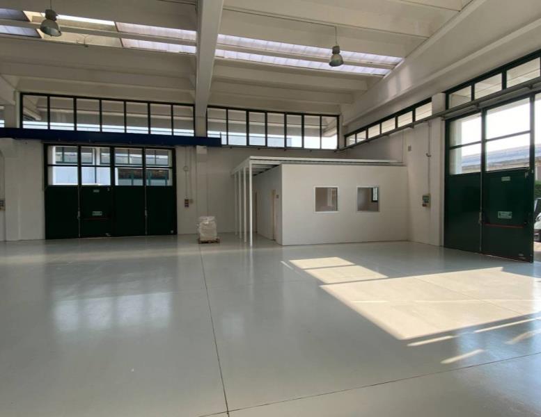 immagine annuncio 5 di 15